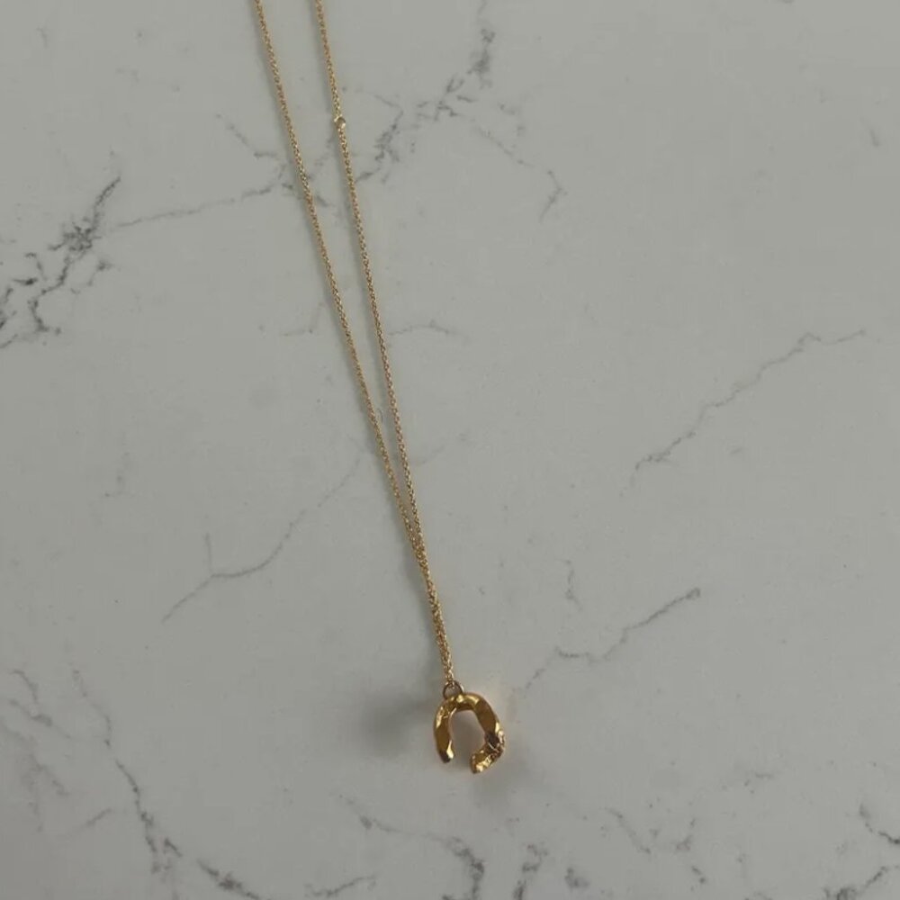 The Flashback Necklace